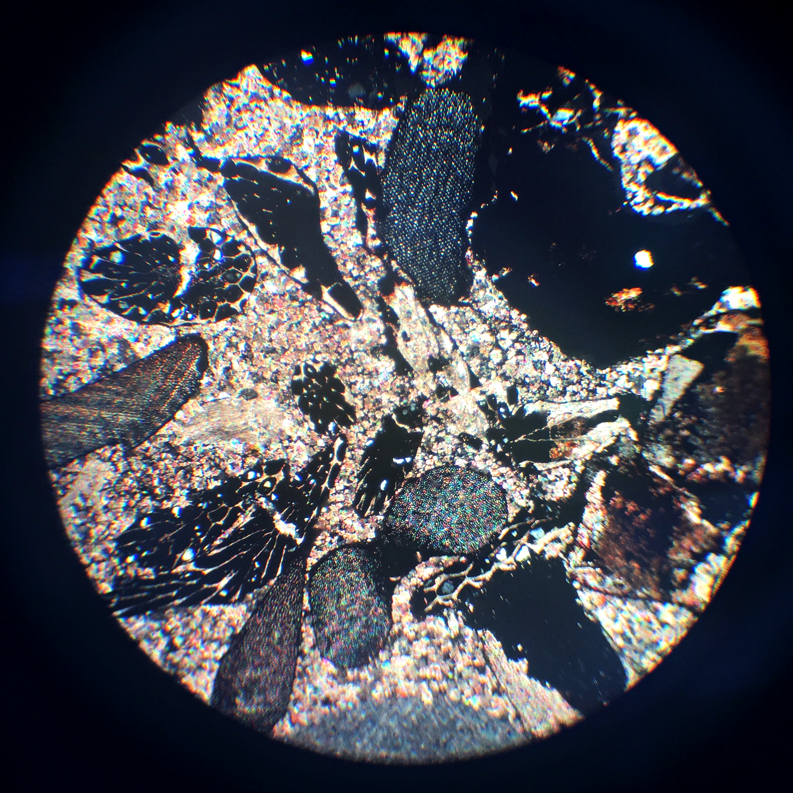 Microscopic observation of a geological thin section